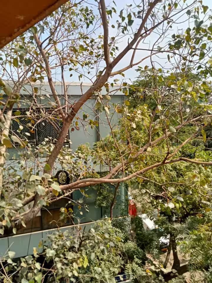 Pixiestays Jasmine House Santacruz, photo 15